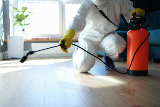 Reliable Odor Removal contractor in Rockwood, MI by Trauma Clean Pros